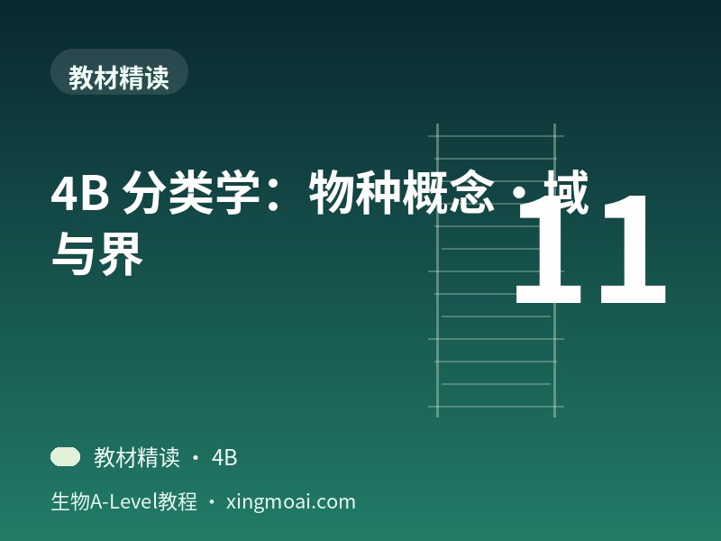 4B 分类学：物种概念·域与界