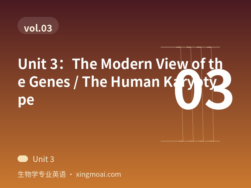 Unit 3：The Modern View of the Genes / The Human Karyotype