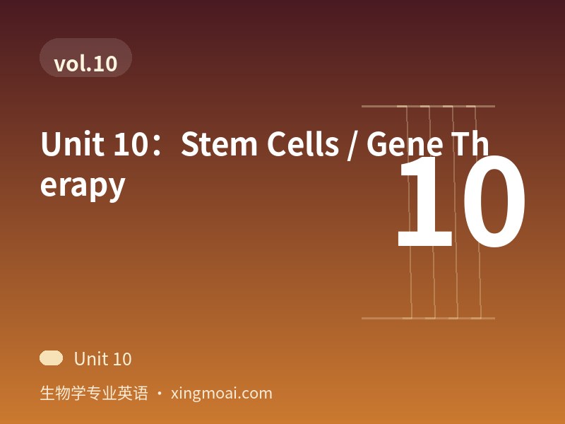 Unit 10：Stem Cells / Gene Therapy