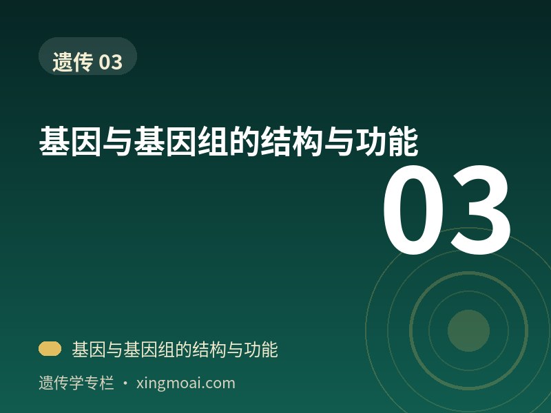 基因与基因组的结构与功能