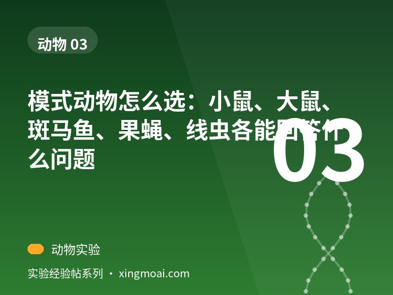 模式动物怎么选：小鼠、大鼠、斑马鱼、果蝇、线虫各能回答什么问题