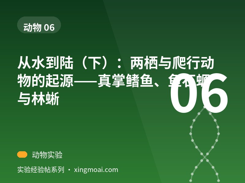 从水到陆（下）：两栖与爬行动物的起源——真掌鳍鱼、鱼石螈与林蜥