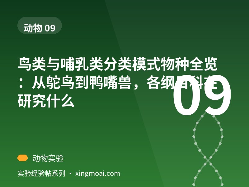 鸟类与哺乳类分类模式物种全览：从鸵鸟到鸭嘴兽，各纲目科在研究什么
