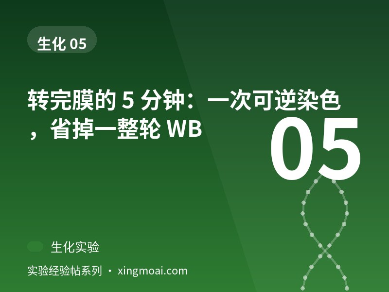 转完膜的 5 分钟：一次可逆染色，省掉一整轮 WB