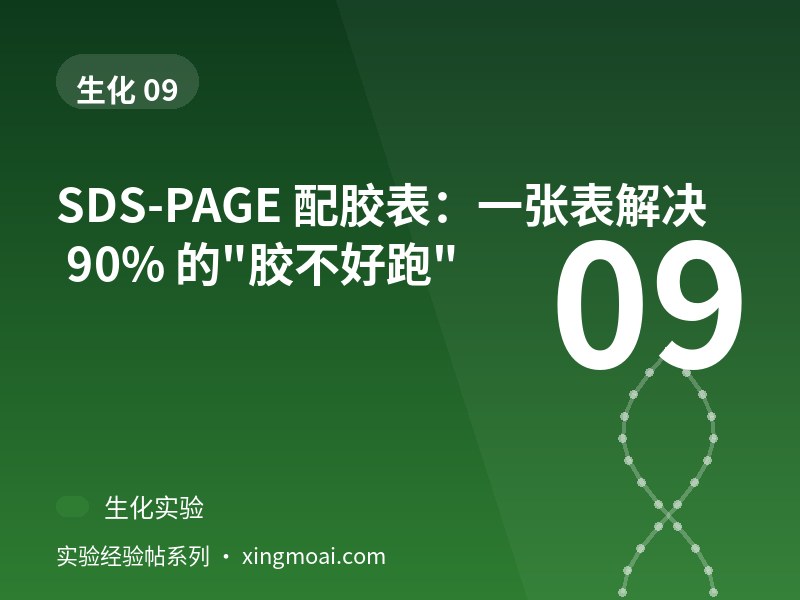 SDS-PAGE 配胶表：一张表解决 90% 的"胶不好跑"