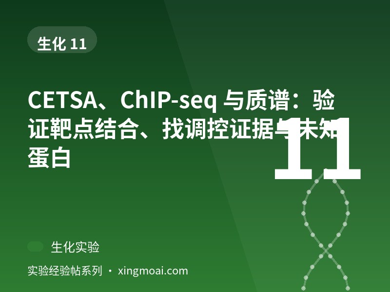 CETSA、ChIP-seq 与质谱：验证靶点结合、找调控证据与未知蛋白