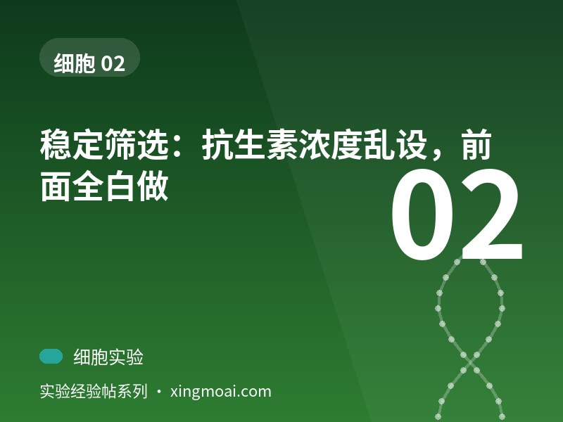 稳定筛选：抗生素浓度乱设，前面全白做