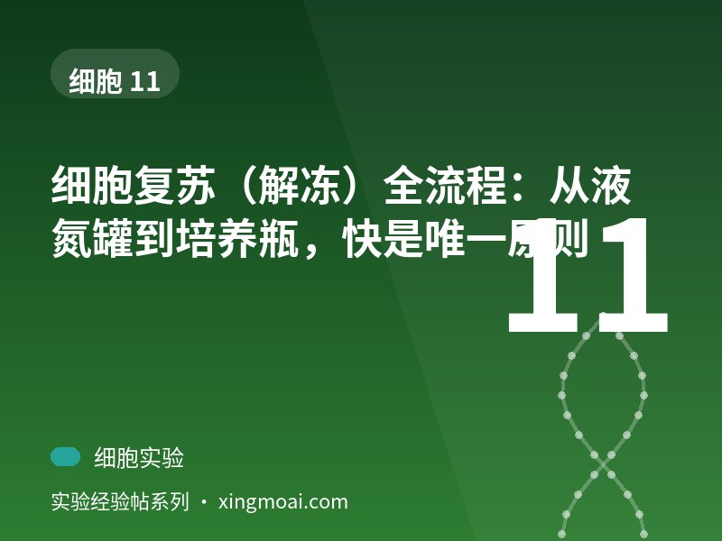 细胞复苏（解冻）全流程：从液氮罐到培养瓶，快是唯一原则