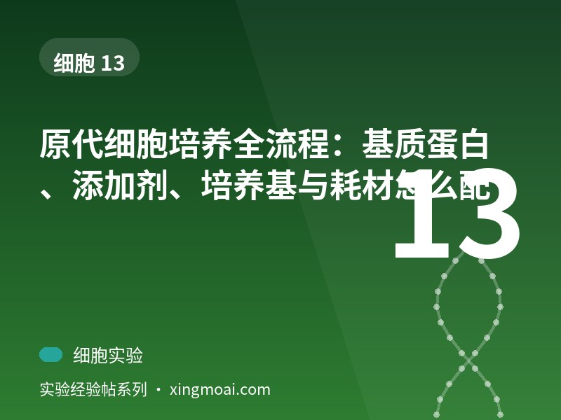 原代细胞培养全流程：基质蛋白、添加剂、培养基与耗材怎么配