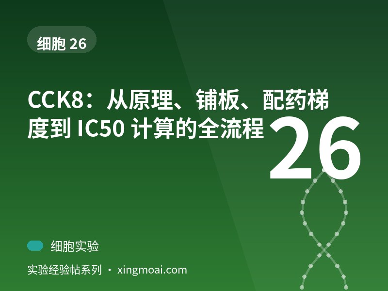 CCK8：从原理、铺板、配药梯度到 IC50 计算的全流程