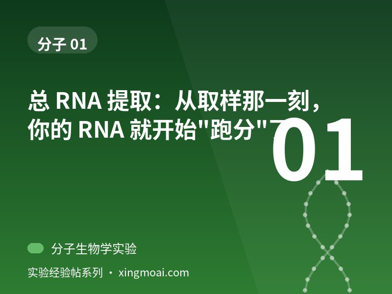 总 RNA 提取：从取样那一刻，你的 RNA 就开始"跑分"了
