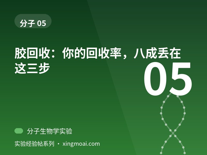 胶回收：你的回收率，八成丢在这三步