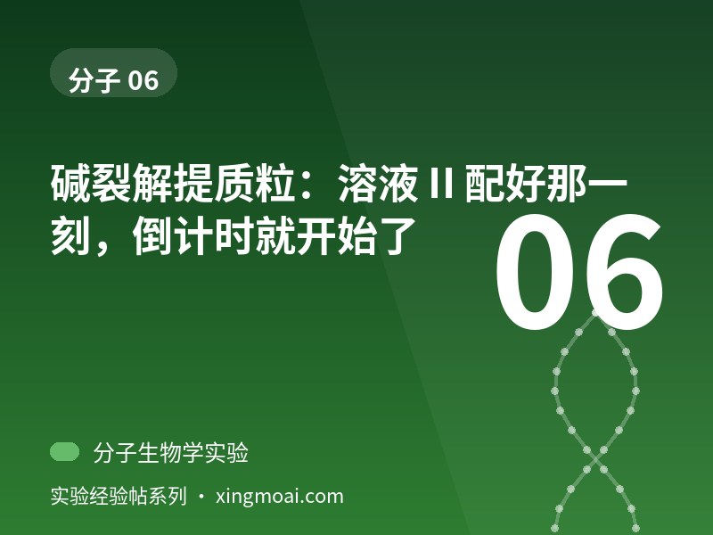 碱裂解提质粒：溶液 II 配好那一刻，倒计时就开始了