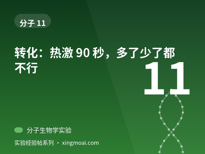 转化：热激 90 秒，多了少了都不行