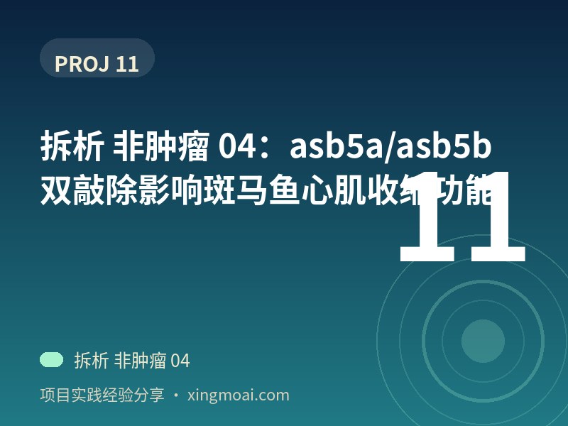 拆析 非肿瘤 04：asb5a/asb5b 双敲除影响斑马鱼心肌收缩功能