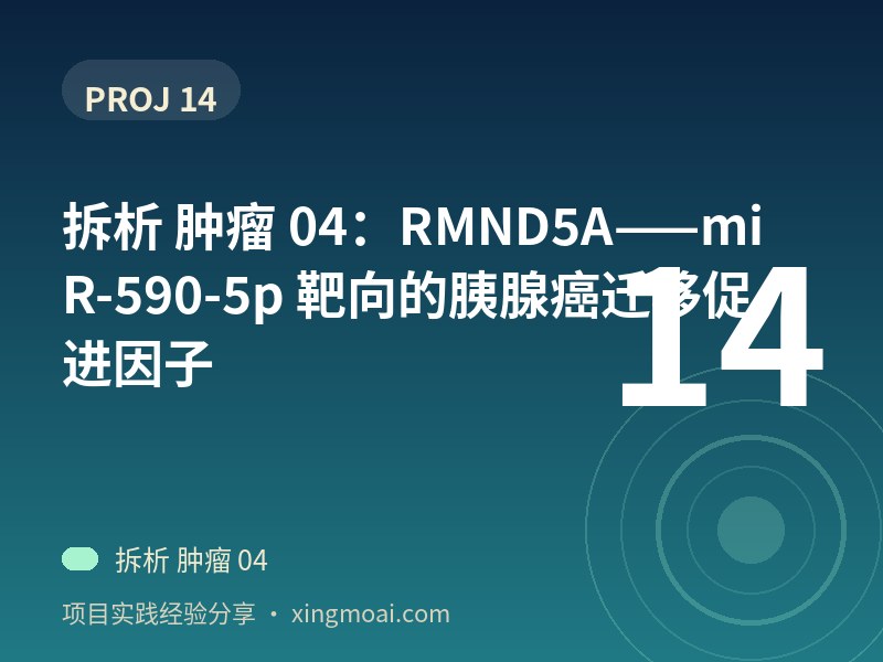 拆析 肿瘤 04：RMND5A——miR-590-5p 靶向的胰腺癌迁移促进因子